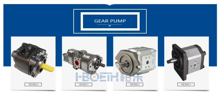 Rexroth Hydraulic Pump/Piston Pump/Grease Pump/Pressure Pump/Oil Pump/Vane Pump/ Gear Pump/Excavator Pump for A2fo A2FM A10vg A4vg A4vso A4vsg A8vo A10vso A11V