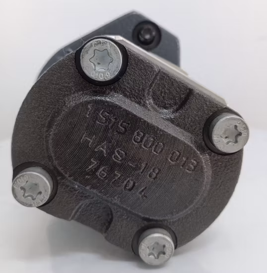 Pompa idraulica Rexroth/Pompa a pistone/Pompa a pressione/Pompa dell'olio/Pompa a palette/Pompa a ingranaggi/Pompa per escavatore per A2fo/A2FM/A4V/A6vm/A7vo/A10vso/A11V/PV7/Pg/A4fo